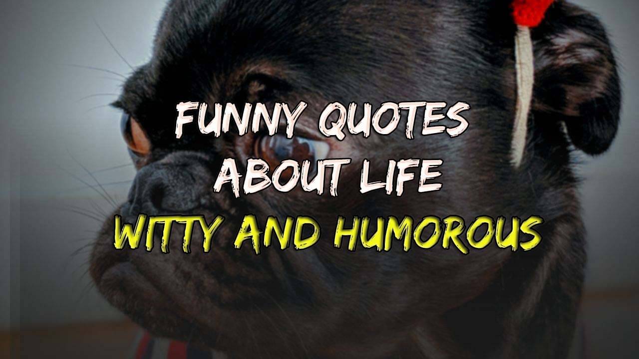 36+ Funny Quotes About Life