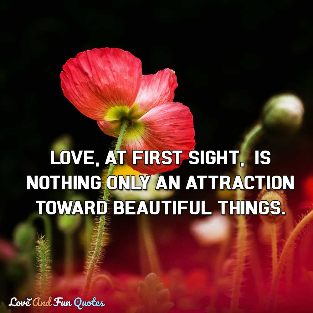 Love, at first sight, is nothing only an attraction toward beautiful things.