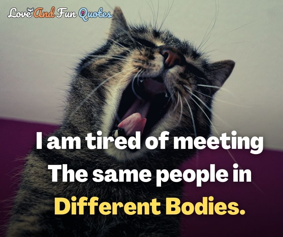 I am tired of meeting the same people in different bodies.
