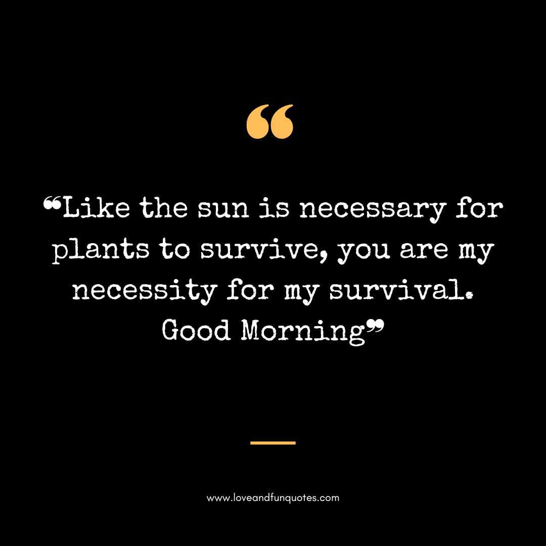 ❝Like the sun is necessary for plants to survive, you are my necessity for my survival. Good Morning❞