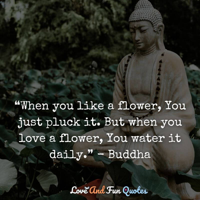 ❝When you like a flower, You just pluck it. But when you love a flower, You water it daily.❞ - Buddha