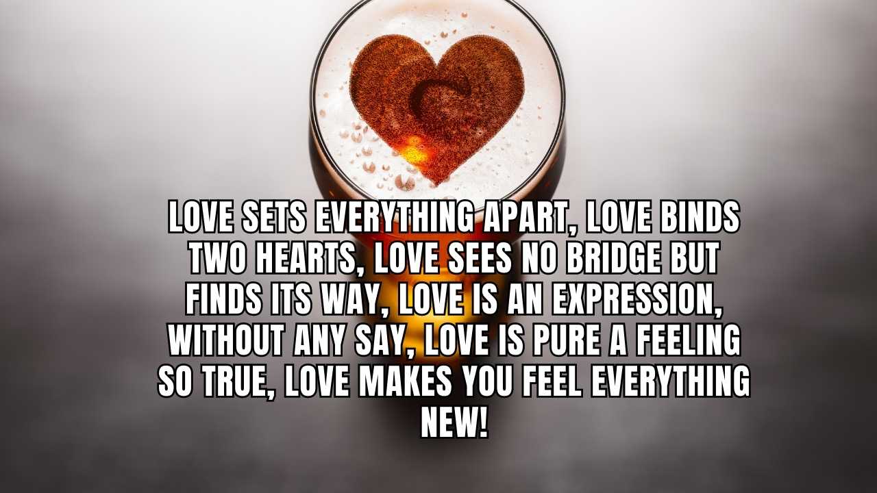 Love sets everything apart, Love binds two hearts, Love sees no bridge but finds its way, Love is an expression, without any say, Love is pure a feeling so true, Love makes you feel everything new!