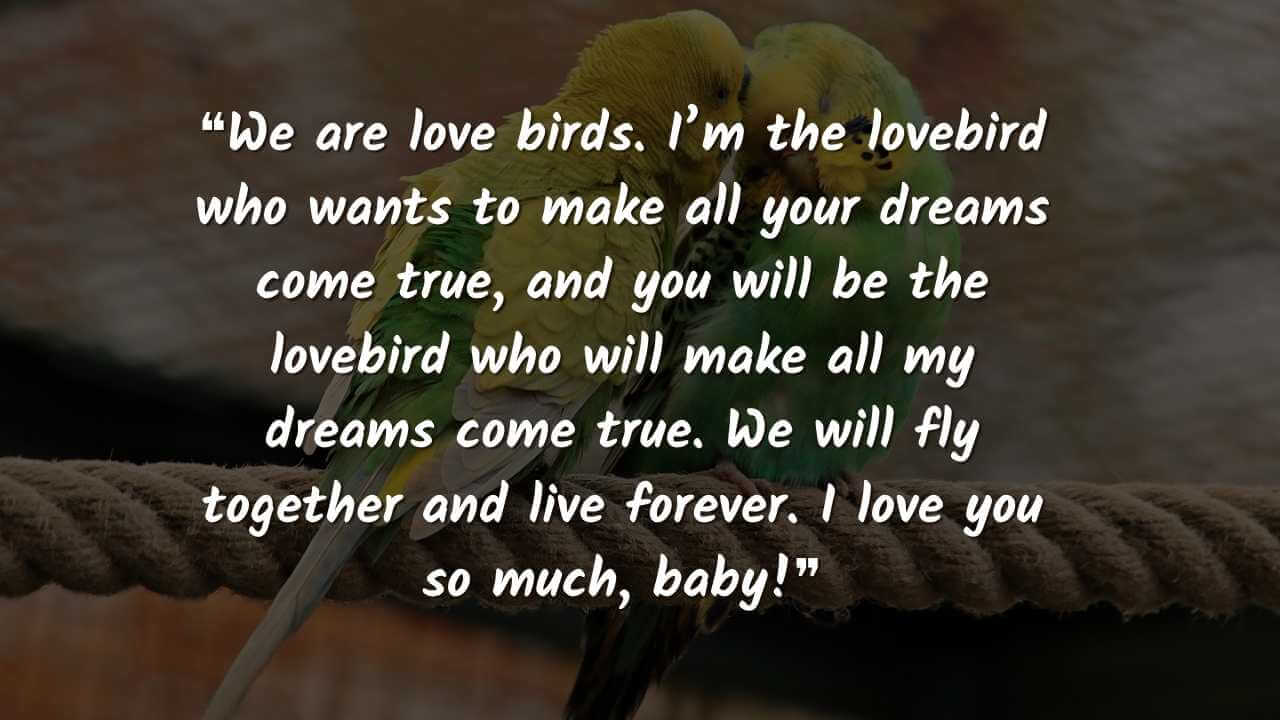 We are love birds. I’m the lovebird who wants to make all your dreams come true, love birds quotes images for him