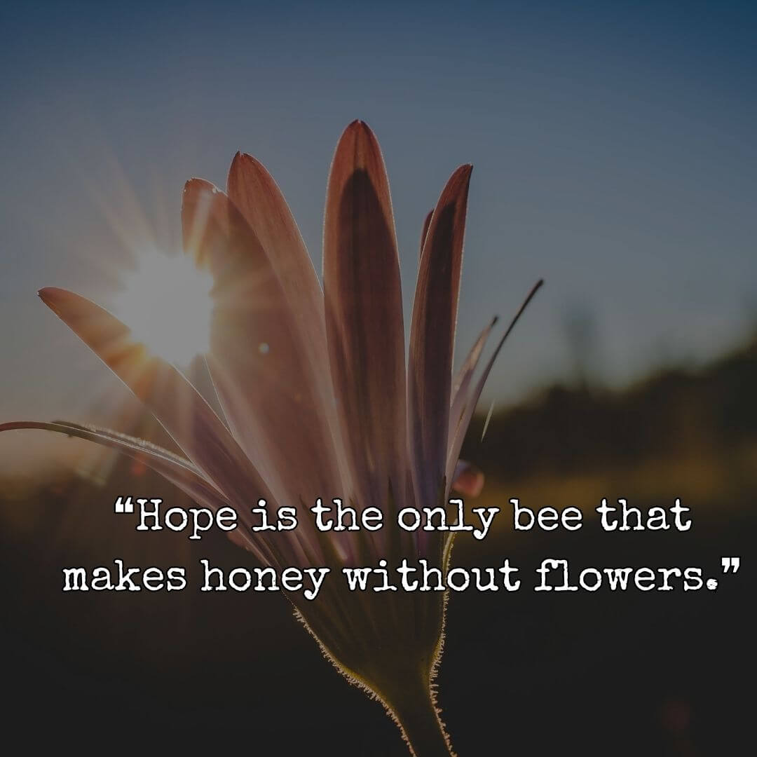 ❝Hope is the only bee that makes honey without flowers.❞