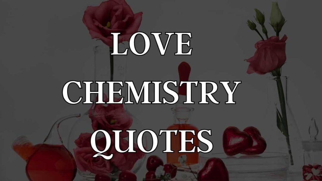 Love Chemistry Quotes